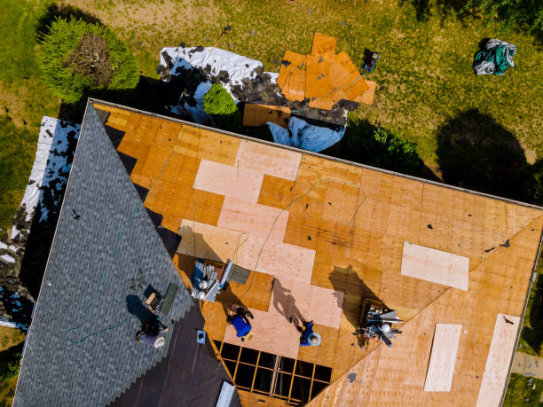 Best Shingle Roofing Installation  in Galesville, WI