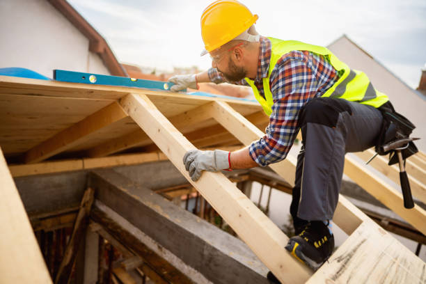 Best Roof Gutter Cleaning  in Galesville, WI